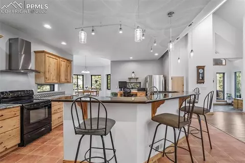 1001 E Bison Creek Trl, Divide, CO 80814 photo 14