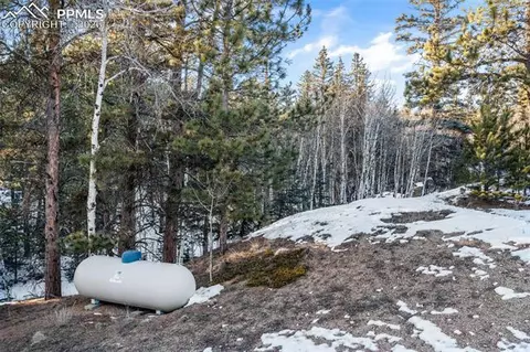 1001 E Bison Creek Trl, Divide, CO 80814 photo 44