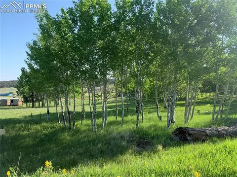 247 Will Scarlet Dr, Divide, CO 80814 photo 2