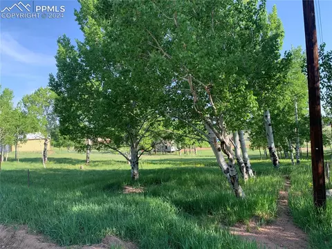 247 Will Scarlet Dr, Divide, CO 80814 photo 1