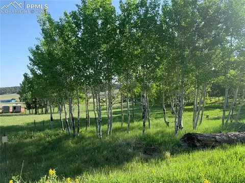 247 Will Scarlet Dr, Divide, CO 80814 photo 3