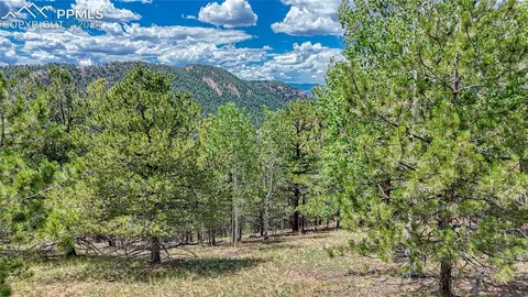 24 Wild Horse Cir, Cripple Creek, CO 80813