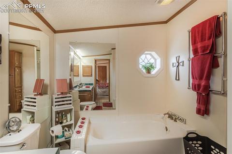 202 Spring Rd, Cotopaxi, CO 81223 photo 20