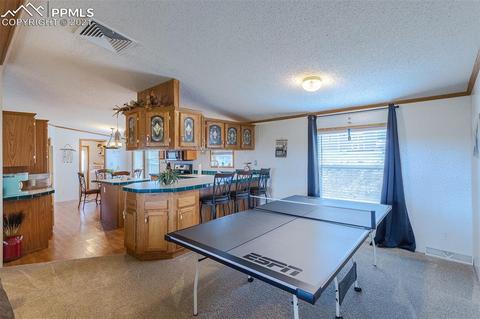 202 Spring Rd, Cotopaxi, CO 81223 photo 6