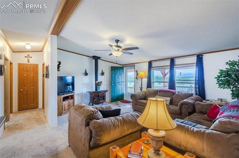 202 Spring Rd, Cotopaxi, CO 81223 photo 7