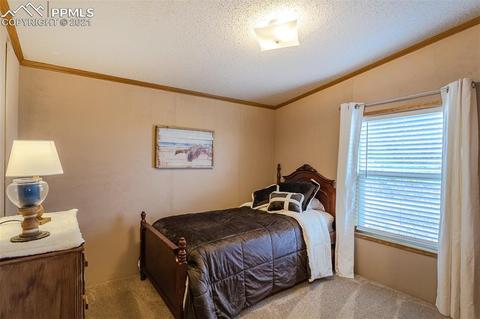 202 Spring Rd, Cotopaxi, CO 81223 photo 23