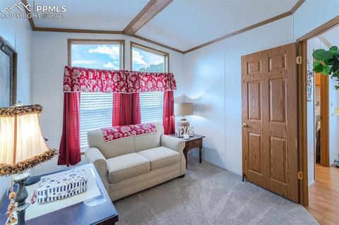 202 Spring Rd, Cotopaxi, CO 81223 photo 18
