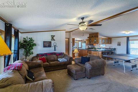 202 Spring Rd, Cotopaxi, CO 81223 photo 4
