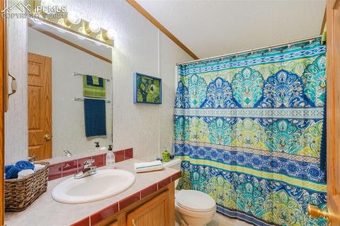 202 Spring Rd, Cotopaxi, CO 81223 photo 25
