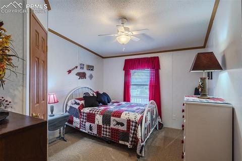 202 Spring Rd, Cotopaxi, CO 81223 photo 22