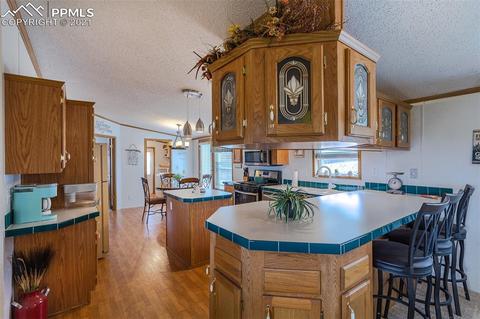 202 Spring Rd, Cotopaxi, CO 81223 photo 8