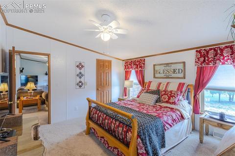202 Spring Rd, Cotopaxi, CO 81223 photo 17