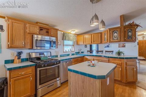 202 Spring Rd, Cotopaxi, CO 81223 photo 9