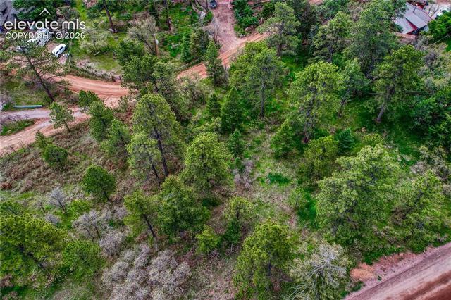 Buena Vista Avenue, Palmer Lake, CO 80133