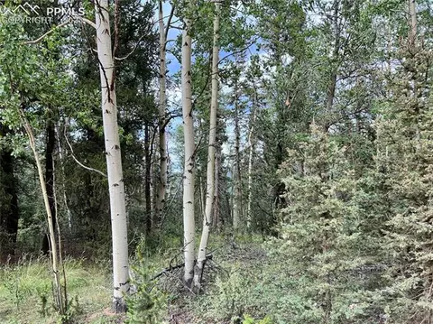 County Road 61, Cripple Creek, CO 80813