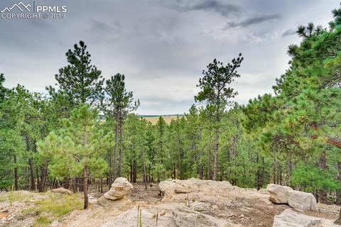 4666 Beaver Rdg, Elbert, CO 80106 photo 22