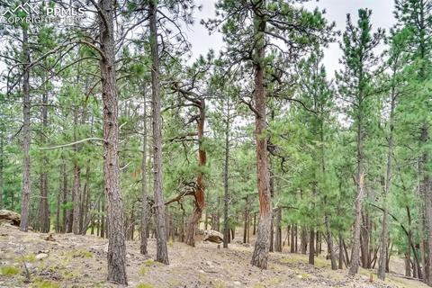 4666 Beaver Rdg, Elbert, CO 80106 photo 25