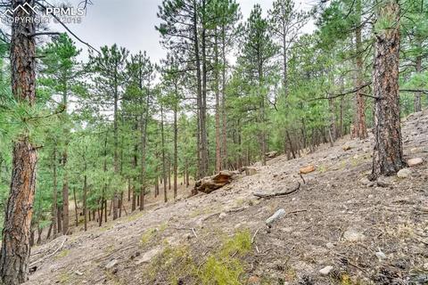 4666 Beaver Rdg, Elbert, CO 80106 photo 27
