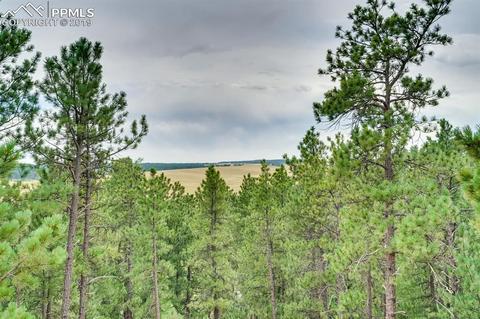 4666 Beaver Rdg, Elbert, CO 80106 photo 23