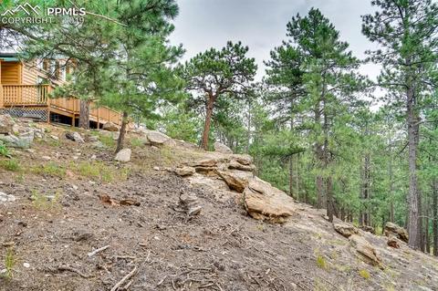 4666 Beaver Rdg, Elbert, CO 80106 photo 24