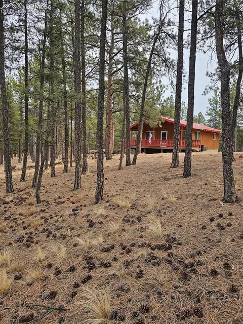480 Blue Mountain Dr, Florissant, CO 80816