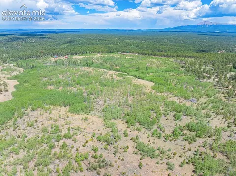 2 County Road 51, Florissant, CO 80816