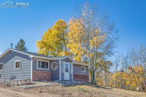 246 Maid Marian Dr, Divide, CO 80814
