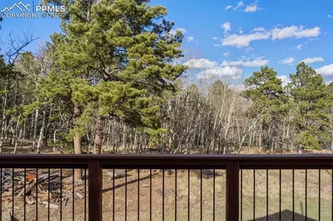 310 County Road 511, Divide, CO 80814 photo 13
