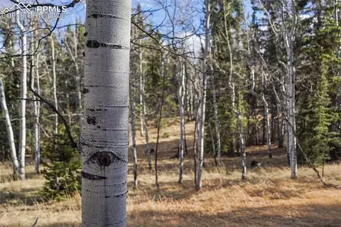 310 County Road 511, Divide, CO 80814 photo 30