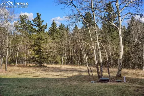 310 County Road 511, Divide, CO 80814 photo 31