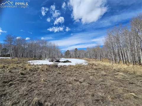 417 Aspen Way St, Florissant, CO 80816