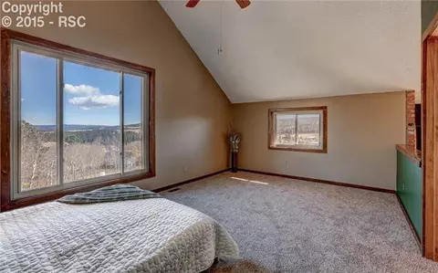 107 Pine Bluff Rd, Divide, CO 80814 photo 13