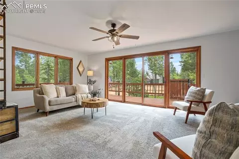57 Aspen Cir, Divide, CO 80814 photo 9