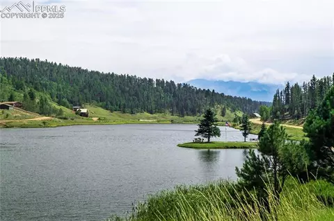 57 Aspen Cir, Divide, CO 80814 photo 39