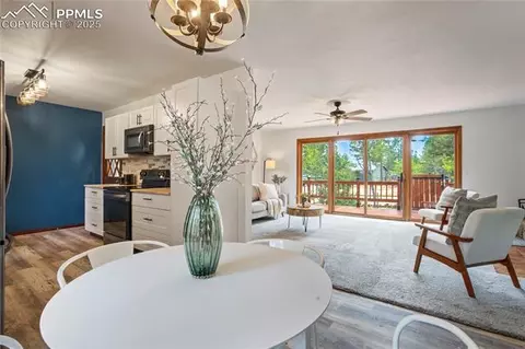 57 Aspen Cir, Divide, CO 80814 photo 13