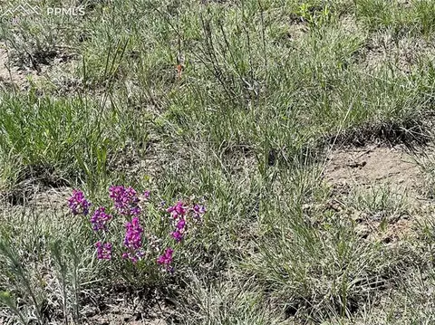 00 Sweet Rd, Peyton, CO 80831 photo 15