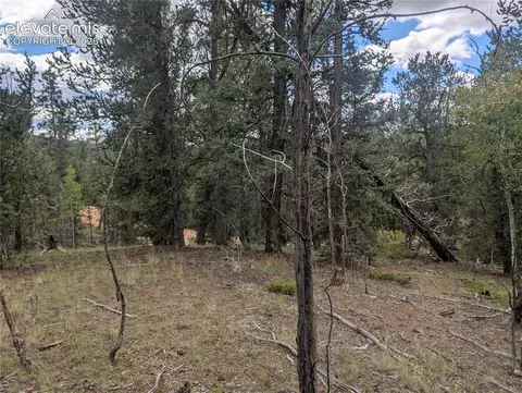 2455 Yorktown Rd, Cripple Creek, CO 80813