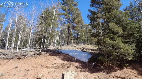 847 Little Topsey Dr, Cripple Creek, CO 80813