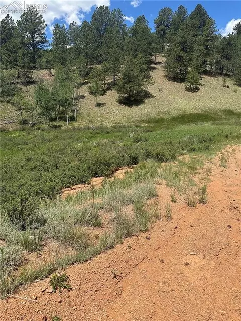 634 Valley Rd, Divide, CO 80814 photo 3