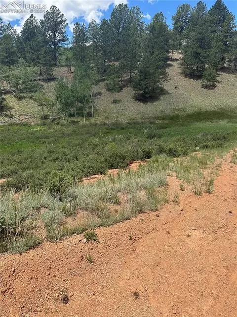 634 Valley Rd, Divide, CO 80814 photo 2