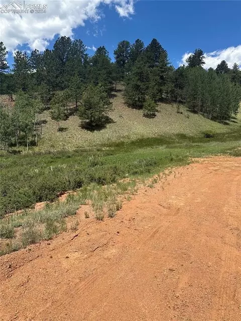 634 Valley Rd, Divide, CO 80814 photo 5