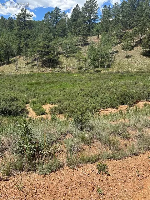 634 Valley Rd, Divide, CO 80814