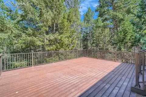 8715 Ute Rd, Cascade, CO 80809 photo 22