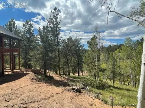 26 Blue Spruce Rd, Divide, CO 80814 photo 3