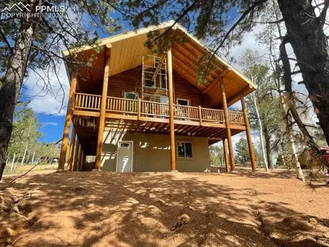 26 Blue Spruce Rd, Divide, CO 80814 photo 21