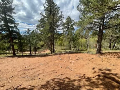 26 Blue Spruce Rd, Divide, CO 80814 photo 18