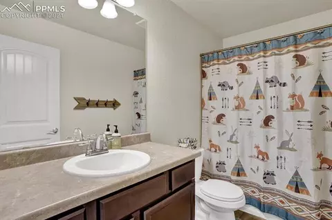 11969 Eagle Crest Ct, Peyton, CO 80831 photo 23