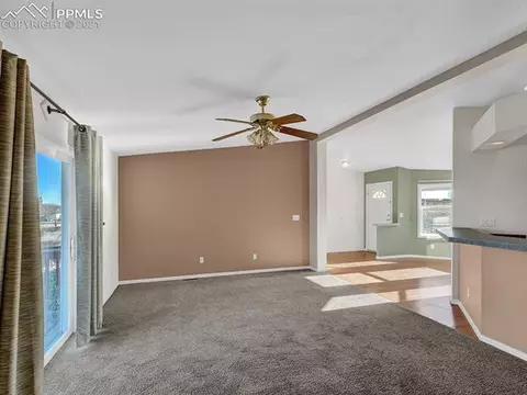 43 Malmsey Ln, Divide, CO 80814 photo 9