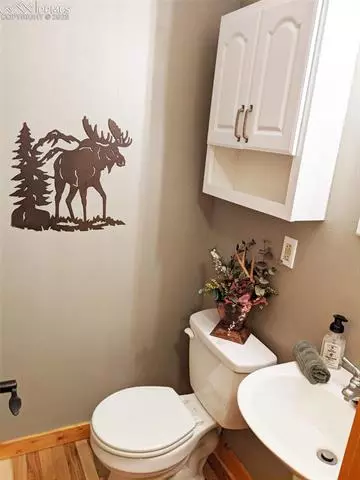 762 Spring Creek Dr, Divide, CO 80814 photo 12