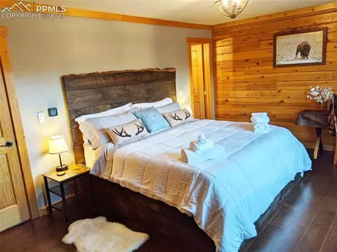 762 Spring Creek Dr, Divide, CO 80814 photo 7